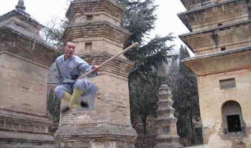 Northern Shaolin Kung Fu Moves