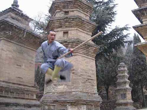 Northern Shaolin Kung Fu Moves